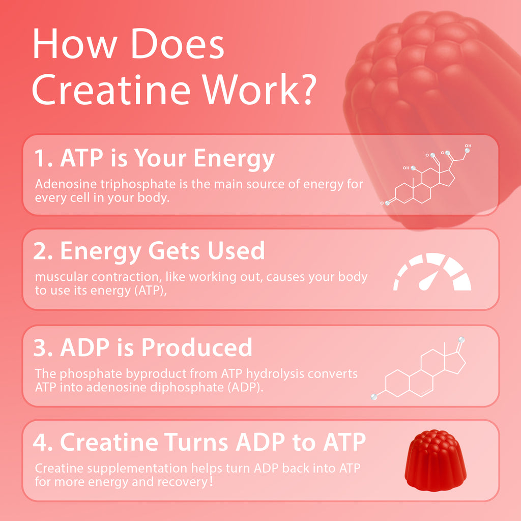 Creatine Monohydrate Gummies, 120 Count, 30 Servings, Strength Support & Muscle Recovery Supplement for Men and Women, Vegan, Sugar Free - Strawberry