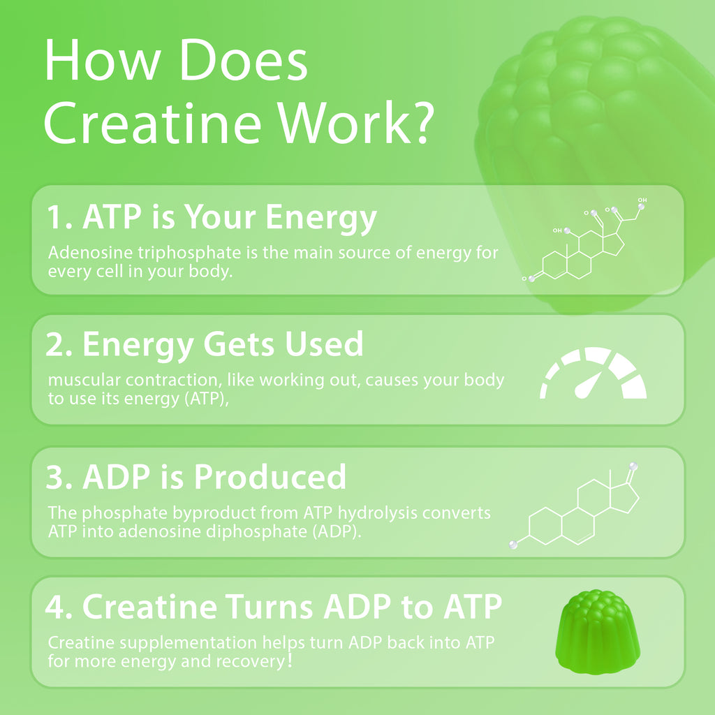 Creatine Monohydrate Gummies, 120 Count, 30 Servings, Strength Support & Muscle Recovery Supplement for Men and Women, Vegan, Sugar Free - Green Apple